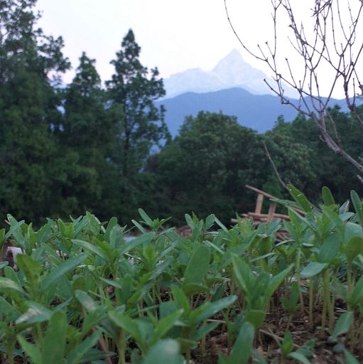 Clouds on Tour - Perspectives from the Himalaya