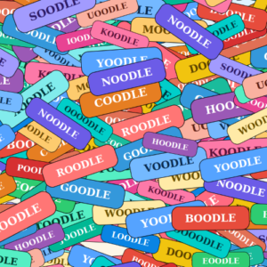 Boodle, Coodle, and the Alphabet of Nothing